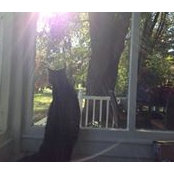 Sara Mallory's photo