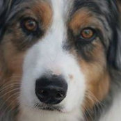 Terri Brink's photo