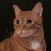 Donna Sullivan's photo