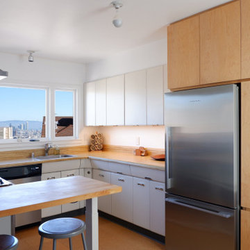 MID-CENTURY REINVENTION