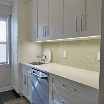 Contemporary Apartment Renovation Kitchen
