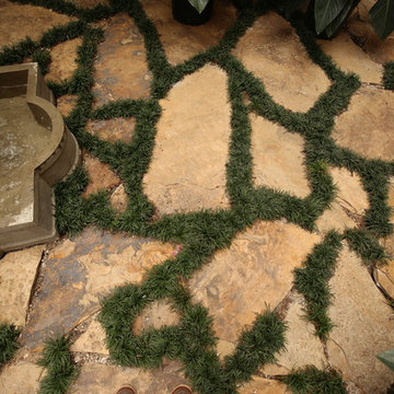 Tropical Foliage