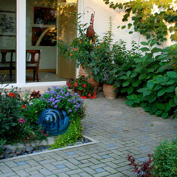 Annuals & Perennials