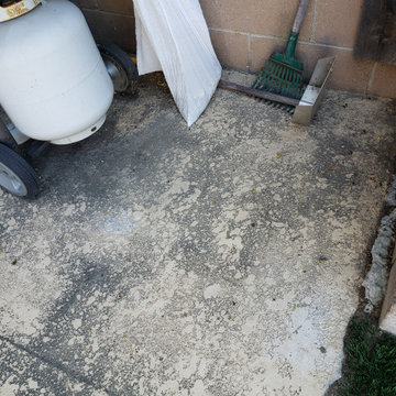Backyard clean up and remodel