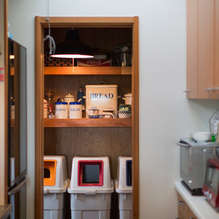 Eclectic kitchen pantry designs - Kitchen pantry - eclectic kitchen pantry idea in Tokyo