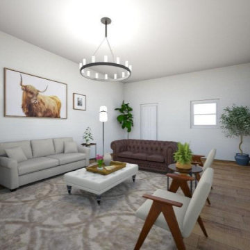 Transitional/Farmhouse Living Room