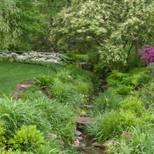 Stormwater BMPs