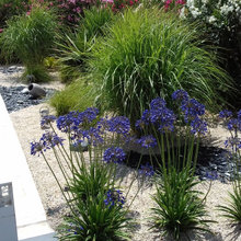 JARDIN MATHILDE