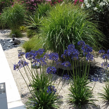 Aménagement extérieur jardin sec zen
