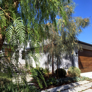 Drought Tolerant Landscape in Eagle Rock, CA