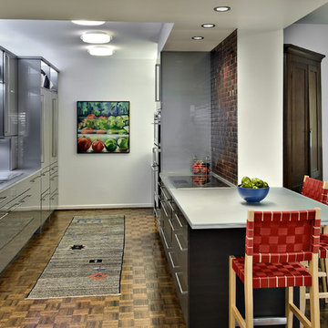 Downtown Condo Kitchen