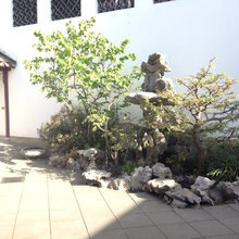 Landscape Ideas
