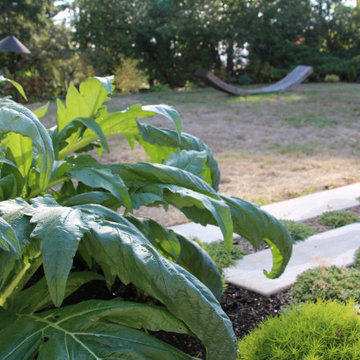 Vancouver Villa - backyard