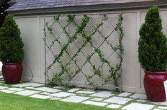 Landscaping ideas against brick wall