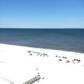 Sheila Carden's photo