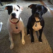 Mike Yaeger's photo