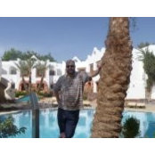 Mahmoud Hemidas foto