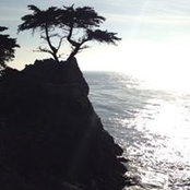 Carrie Stuk's photo