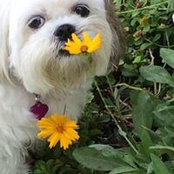 Kathryne Spudis's photo