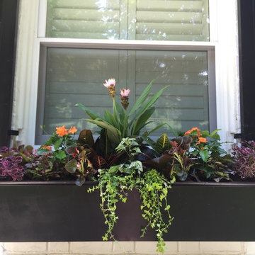Summer 2016 Installations