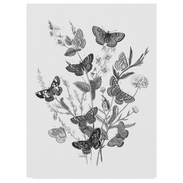 Wild Apple Portfolio 'Butterfly Bouquet I Linen Bw I' Canvas Art
