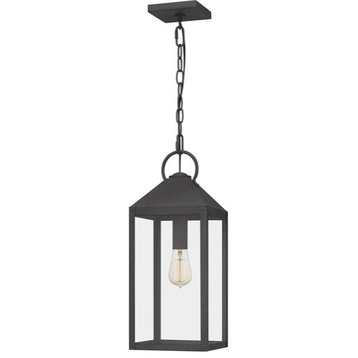 Thorpe 1-Light Outdoor Hanging Lantern in Mottled Black