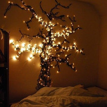 Forest Room