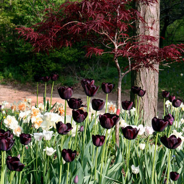 Plantings