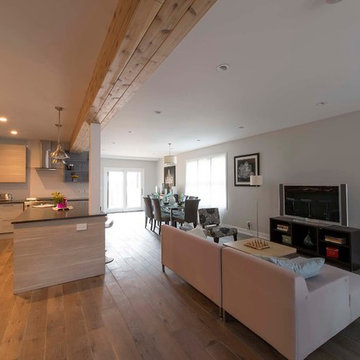 Chicago House Remodel: From Traditional to Contemporary