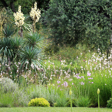 Landscape Designer Cannes | The Scents of Provence
