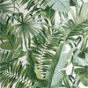 FD24136 Banana Palm leaves White Green Tropical Wallpaper Brewster 2744-24136