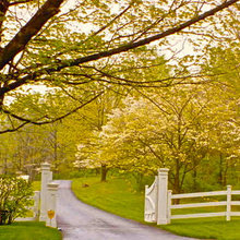 front gate