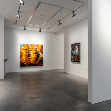 Art Gallery Project in Mayfair - Dirimart