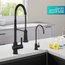 Britt Commercial Style Pull-Down Single Handle Kitchen Faucet Matte Black