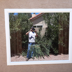 Vinyl Picture or Fixed Window - Windows