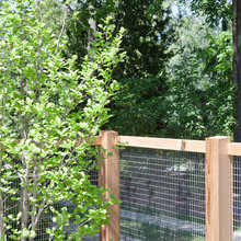 fence