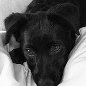 Sarah Bacon's photo