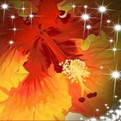 Laura Wainwright Thompson's photo