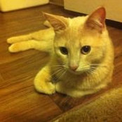 Robert Lo's photo