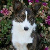 Renay Crooker's photo