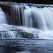 Donna Goodman's photo