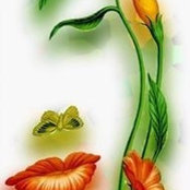 Tammy Umble- Sasala's photo