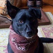 Trina Cook's photo