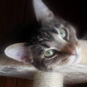 Kym McNulty's photo
