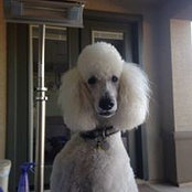 Natalie Ackerly's photo