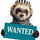 jetferret