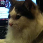 Susan Petersen's photo