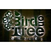 Bird ON Tree's photo