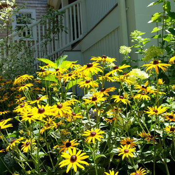 Traditional New England Landscape - Hingham
