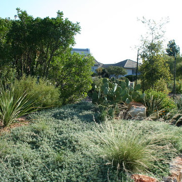Natural Landscape in Northwest Hills